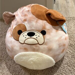 Bronk the Bulldog squishmallow NWT 16”